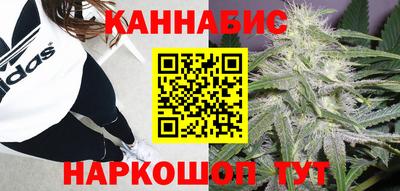 индика Мирный