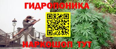 индика Мирный