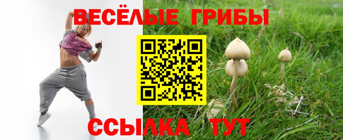 Галлюциногенные грибы MAGIC MUSHROOMS  Вход с VPN  где купить наркоту  Наро-Фоминск 